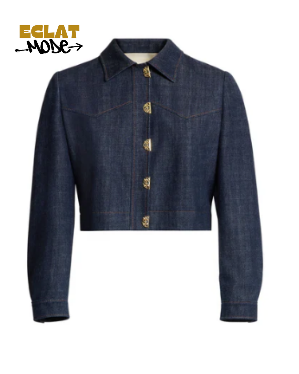 Indigo Luxe Cropped Denim Jacket