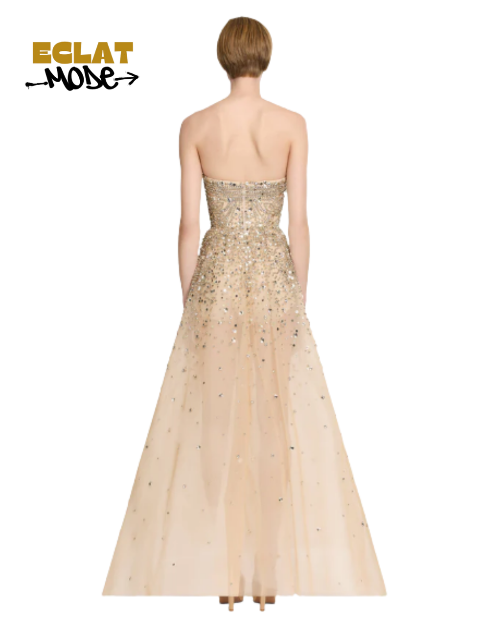 Champagne Radiance Embellished Gown